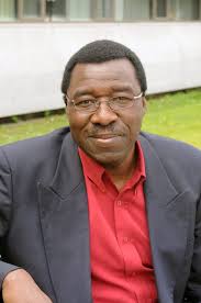 Mamadou Lamine Doumbia