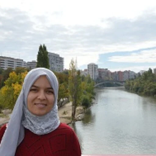 Zaineb Dhaouefi